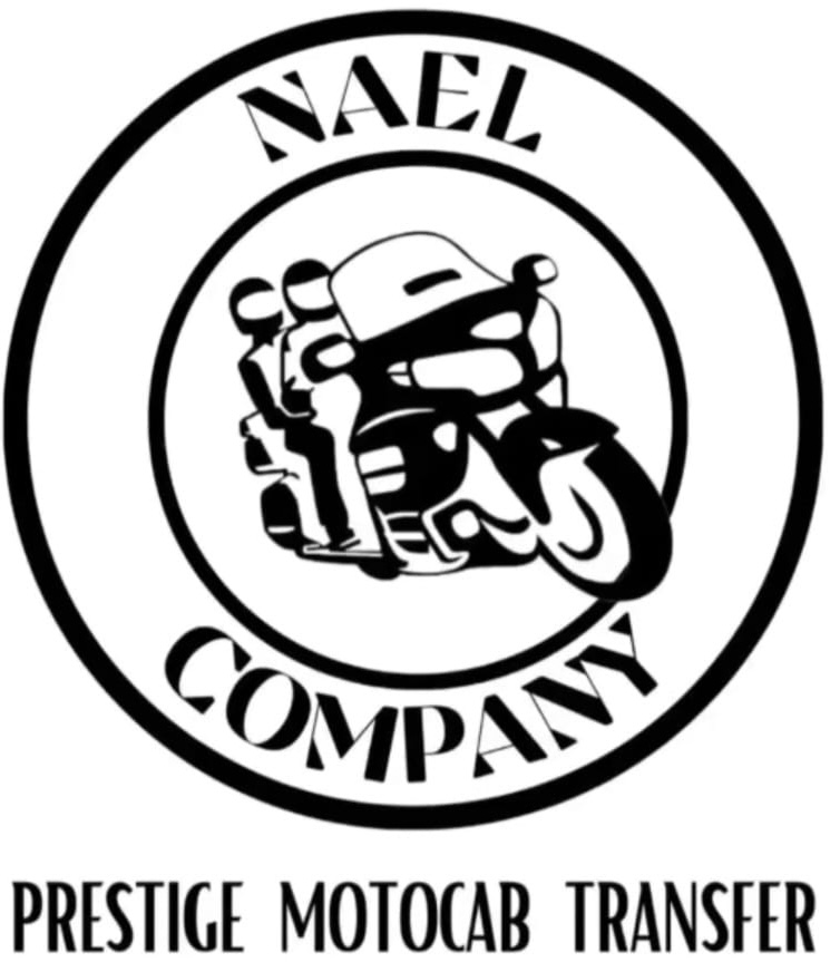 NAEL Company Logo
